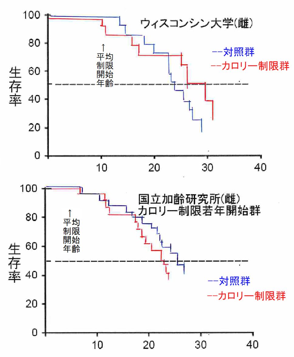 FIG06.JPG - 117,146BYTES